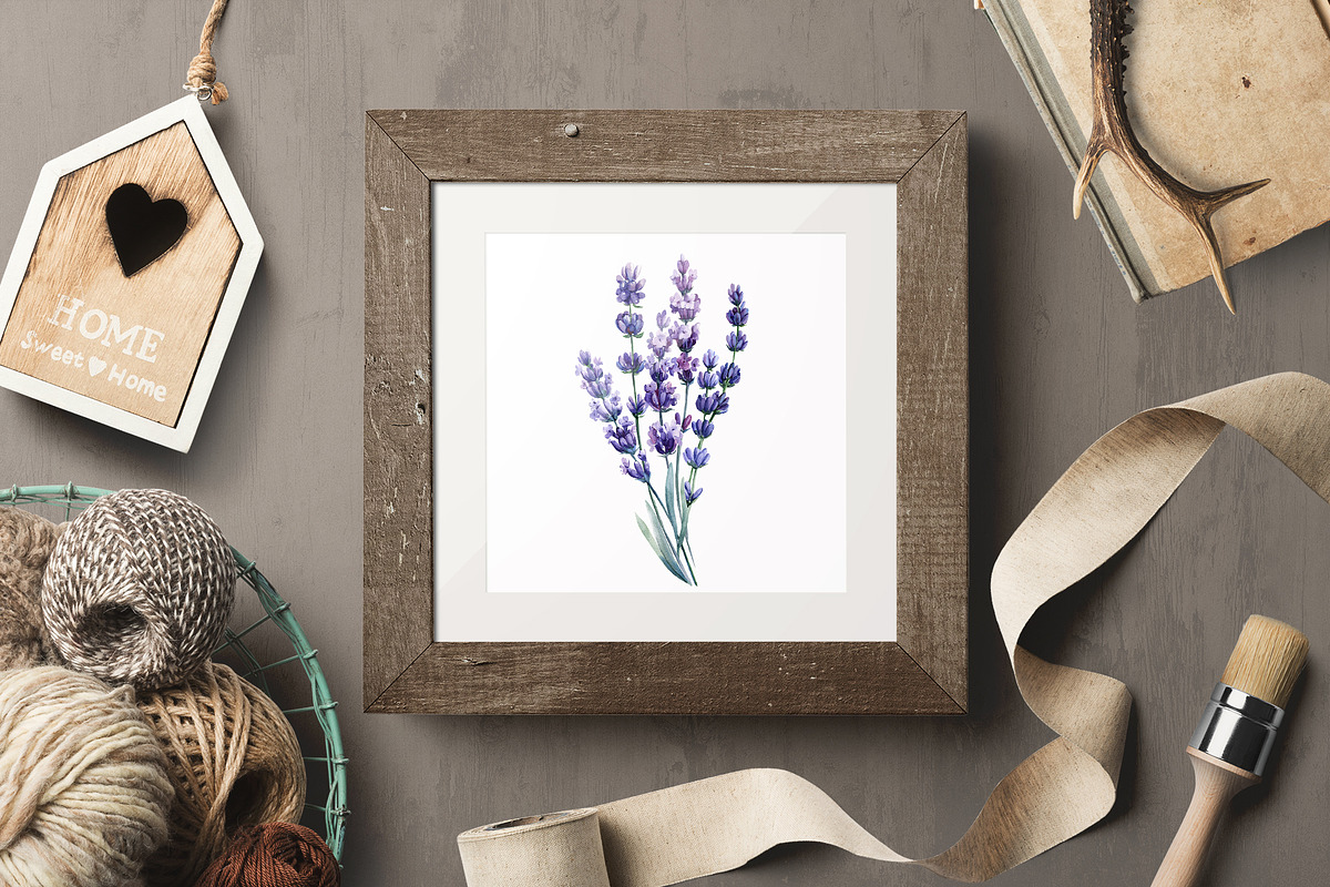 Lavender flowers watercolor, clipart, a Food Illustration by Hanna Hryharenka (Photo 10 of 17)