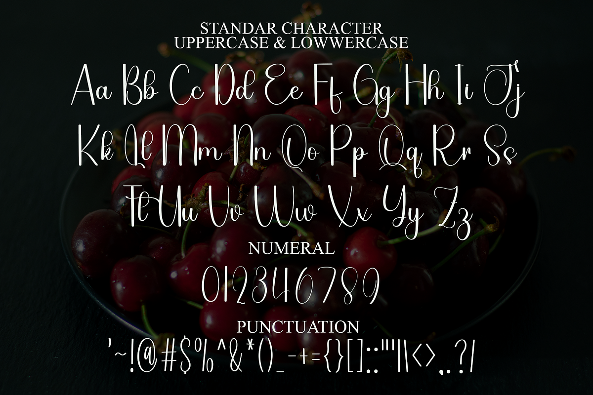 Belgia Autography, a Font by InermediaSTUDIO (Photo 7 of 8)