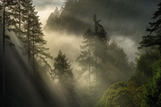 250 Misty mountain landscape Bundle, a Nature Photo by Virgo Studio (Thumbnail 2 of 7)