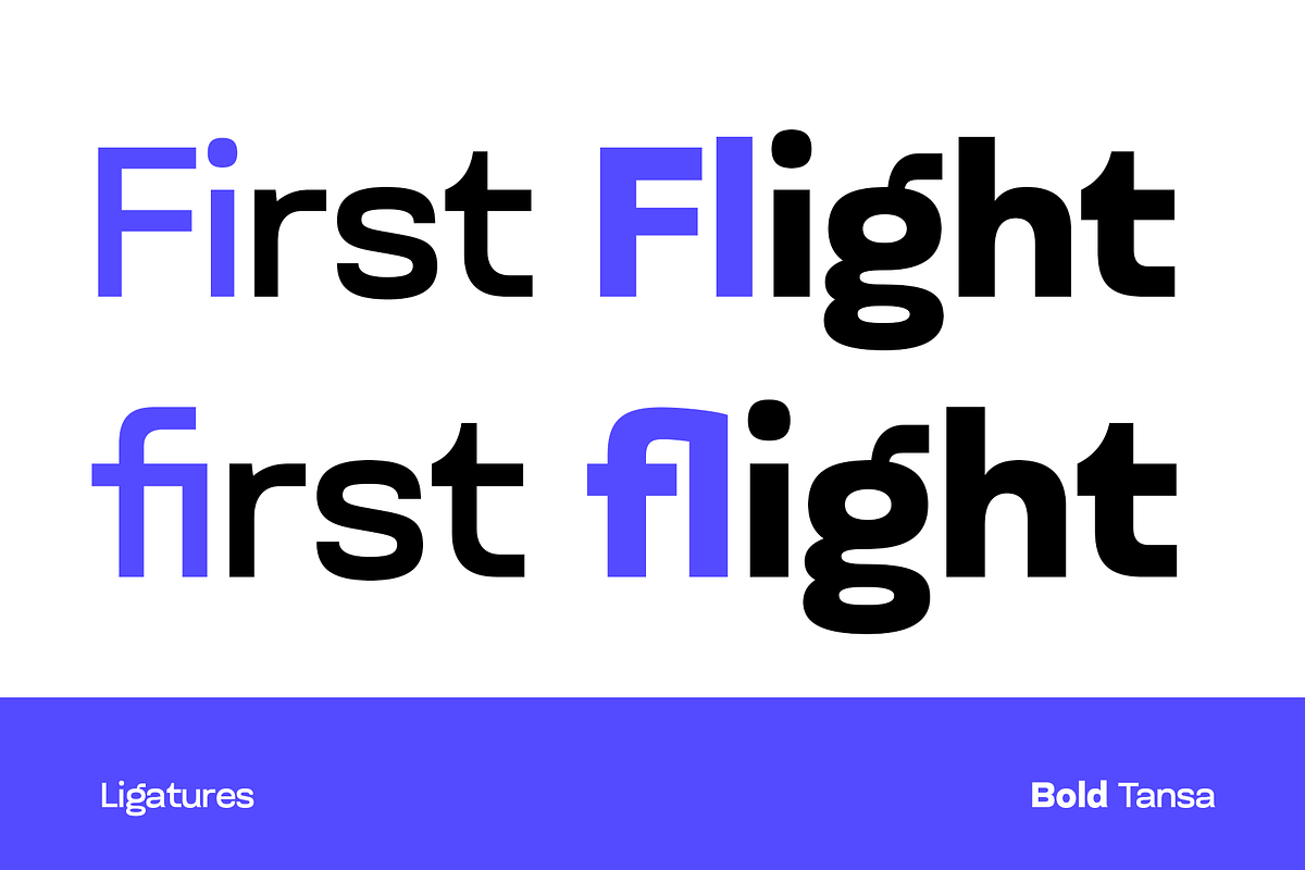 Tansa – UI Interface Sans Font, a Sans Serif Font by Drizy (Photo 7 of 10)