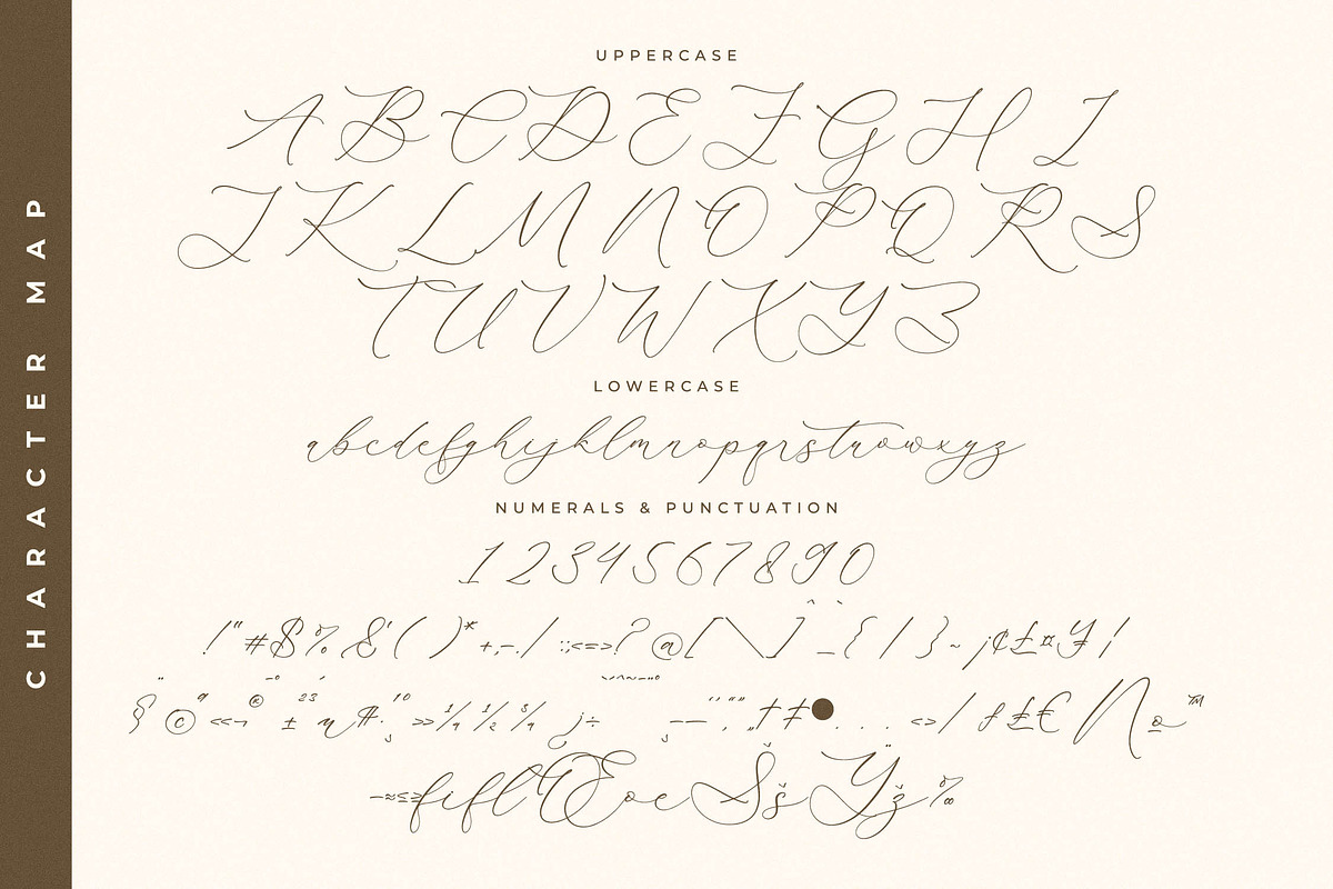 Waltney Flores A Beauty Calligraphy, a Script Font by Storytype Studio (Photo 13 of 15)