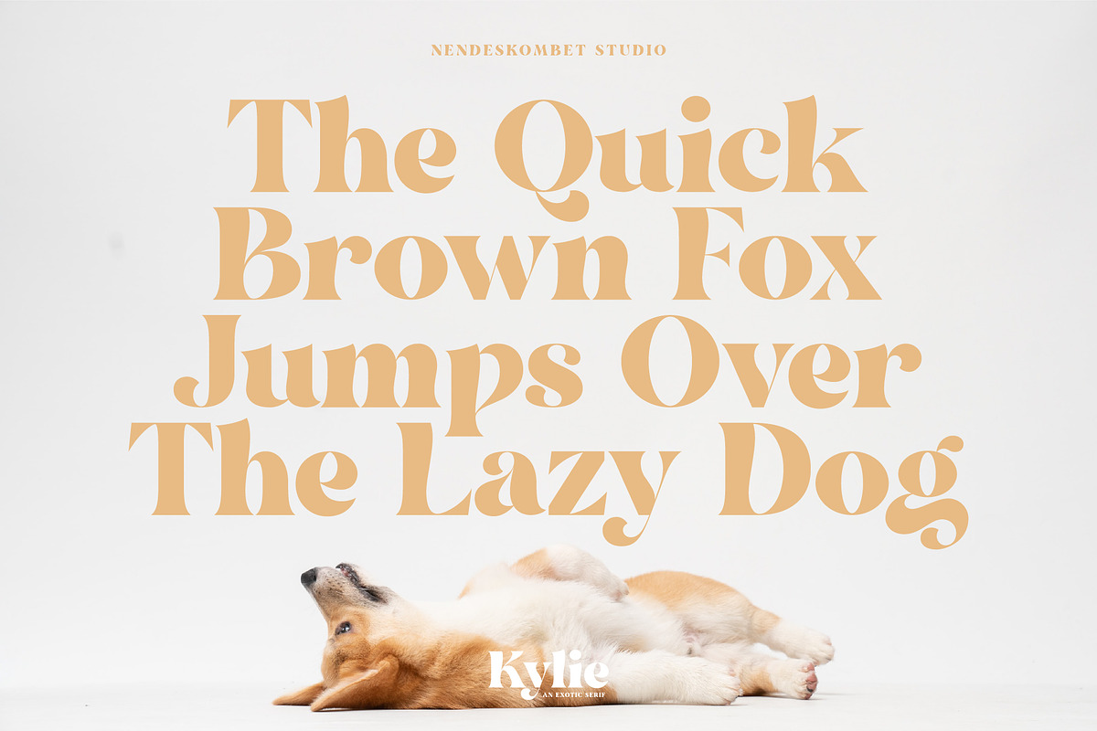 Kylie - Exotic Serif, a Serif Font by NendesKombet Studio (Photo 6 of 8)