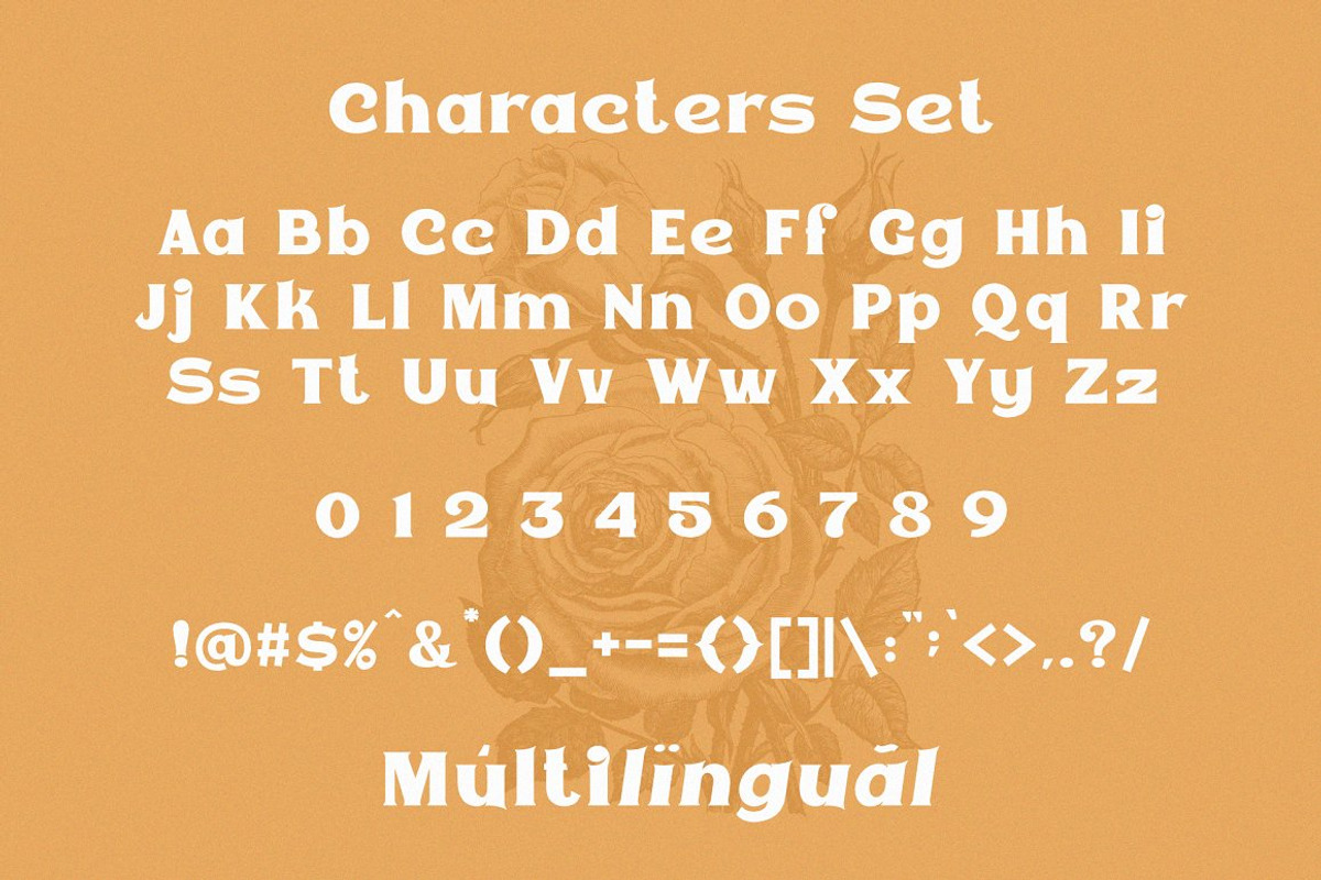 VT Epicgant - Classic Display Serif preview 7