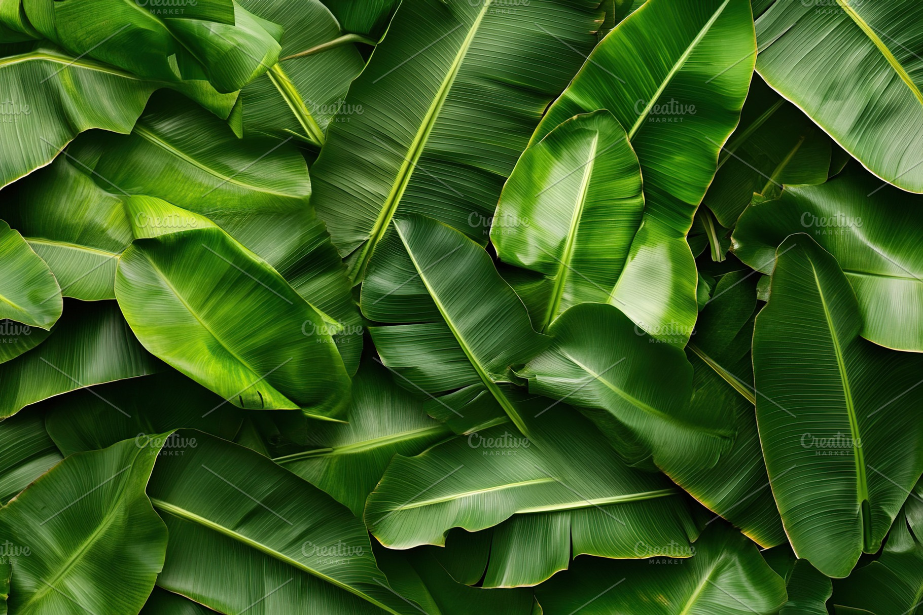 Lush green tropical forest leaves create a vibrant, serene atmosphere in a natu, a Nature Photo by AlyaAnd