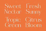 Sunveil Orange Modern Display Font, a Sans Serif Font by timelesstype.co (Thumbnail 3 of 20)