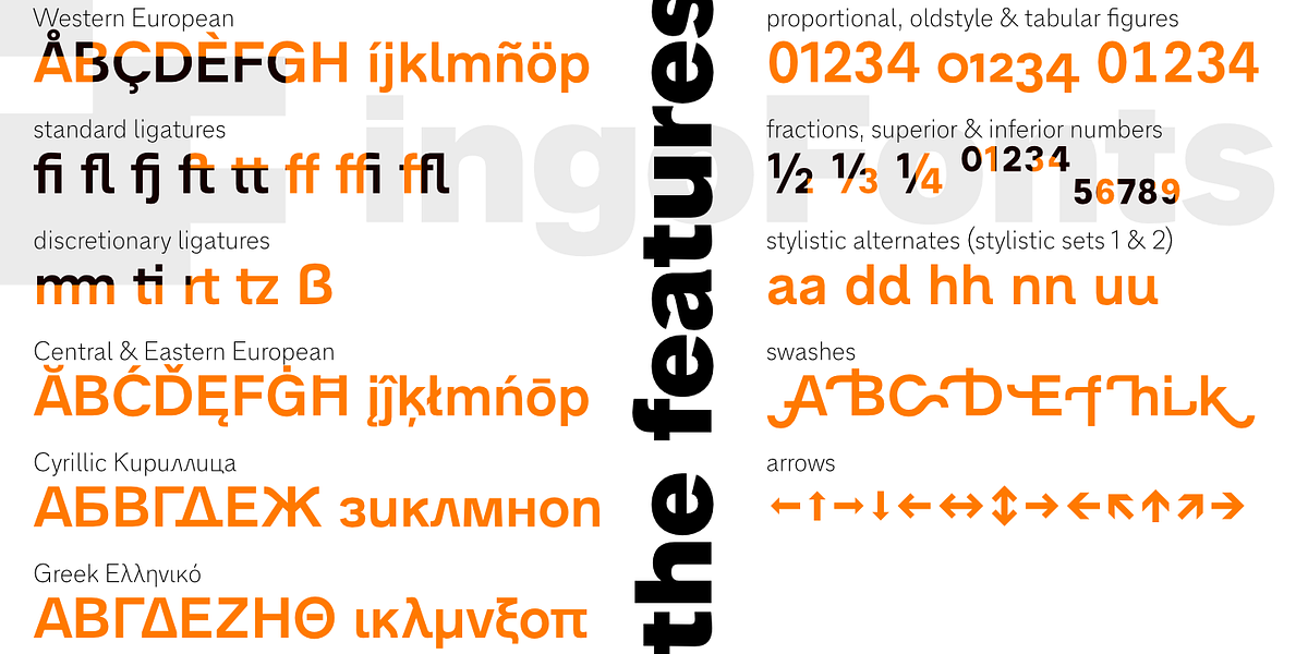 Analogue Pro, a Sans Serif Font by ingoFonts (Photo 20 of 20)