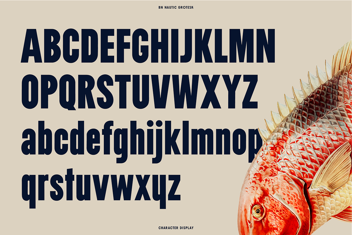 Nautic Grotesk - Modern Display Font, a Sans Serif Font by Bnick (Photo 12 of 12)