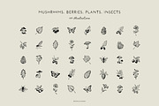 FOREST & CAMPING illustrations, a Decorative Illustration by Crocus Paperi (Thumbnail 2 of 5)