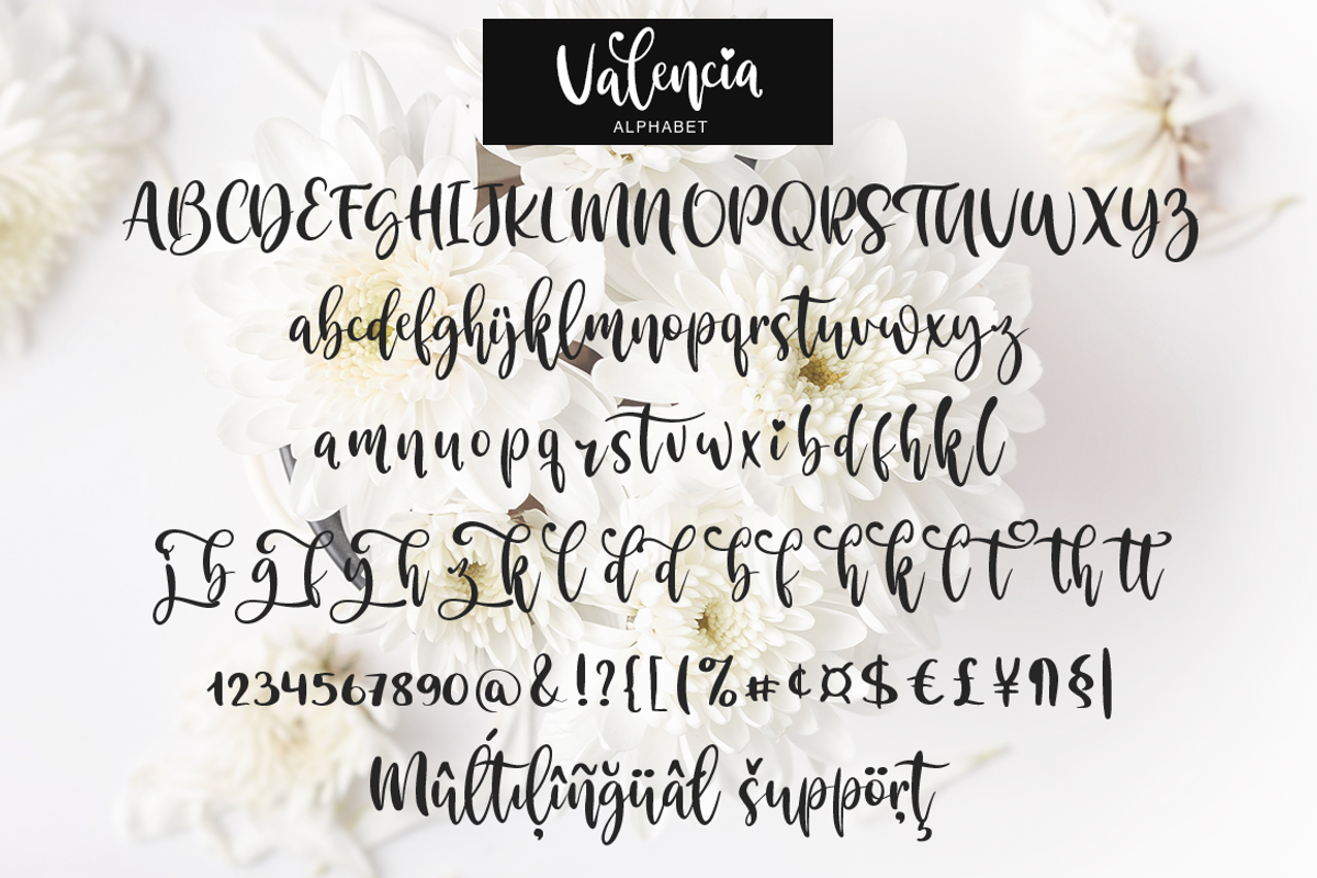 Valencia, a Script Font by Larin Type Co. (Photo 10 of 10)