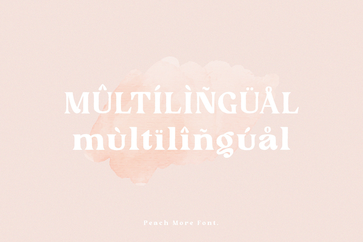 Peach More, a Serif Font by Prioritype Co (Photo 10 of 11)