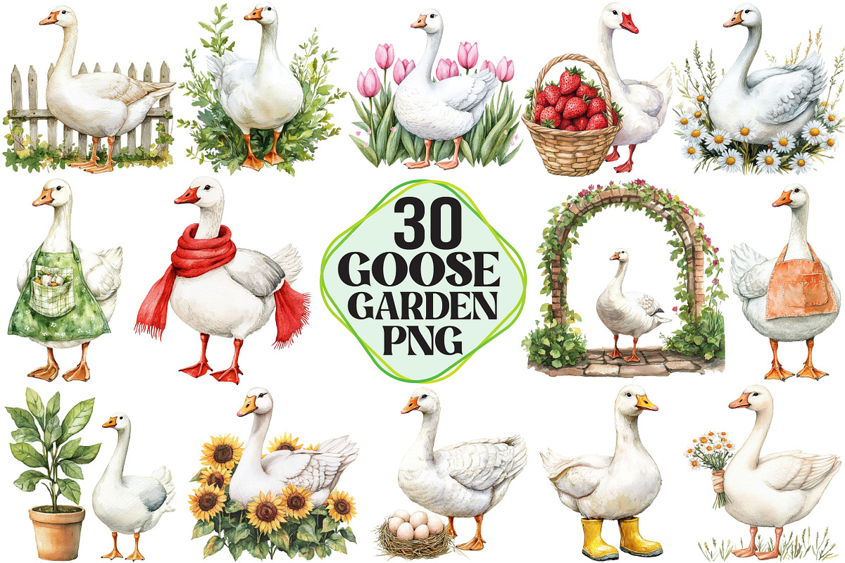 White Goose Garden Clipart, an Illustration by Pixels.Craft (Photo 1 of 7)