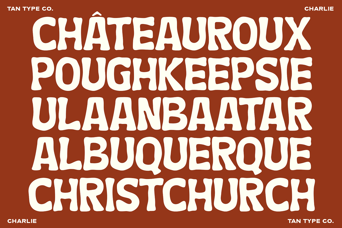 TAN - CHARLIE, a Handwritten Font by TanType (Photo 4 of 14)