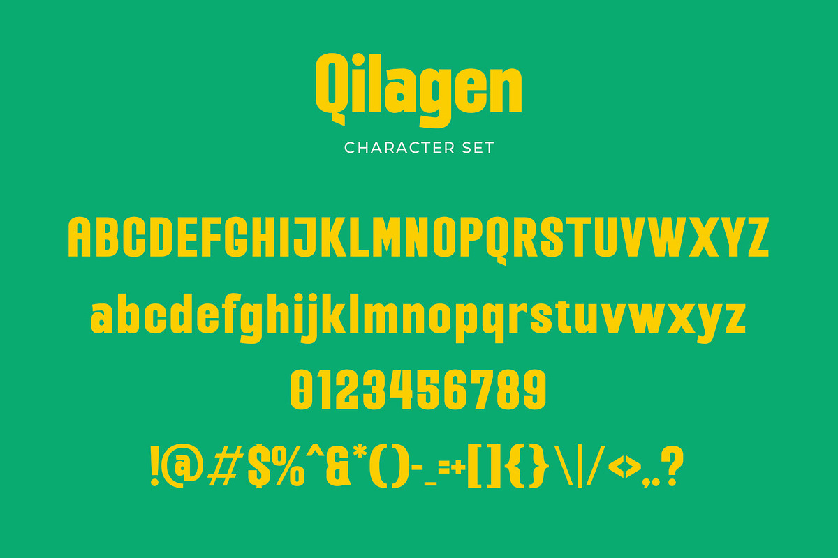 Qilagen - Modern Condensed Sans Seri, a Sans Serif Font by TypeLogue (Photo 5 of 5)