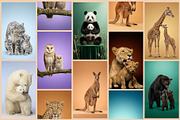 Wild Icons. Animals parents., an Animal Photo by AI Petr Creative Agency (Thumbnail 4 of 7)