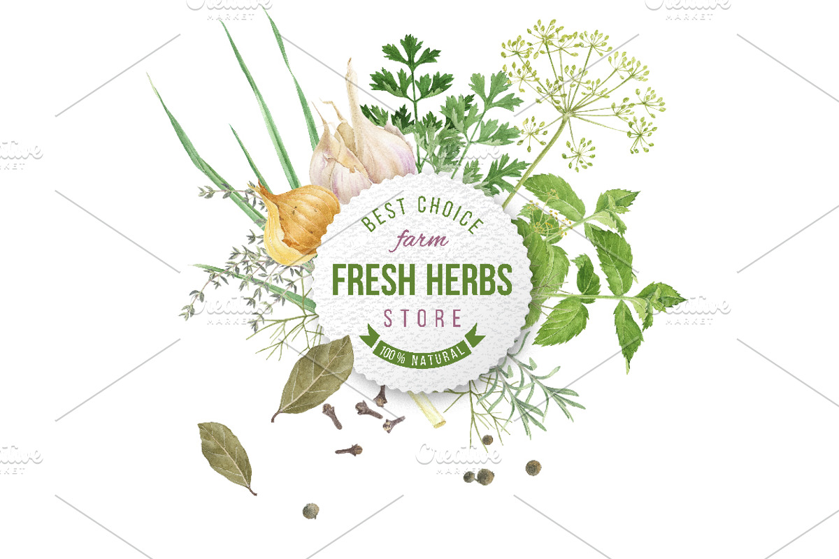 Herbs and spices watercolors, a Healthcare Illustration by handsketched (Photo 3 of 6)