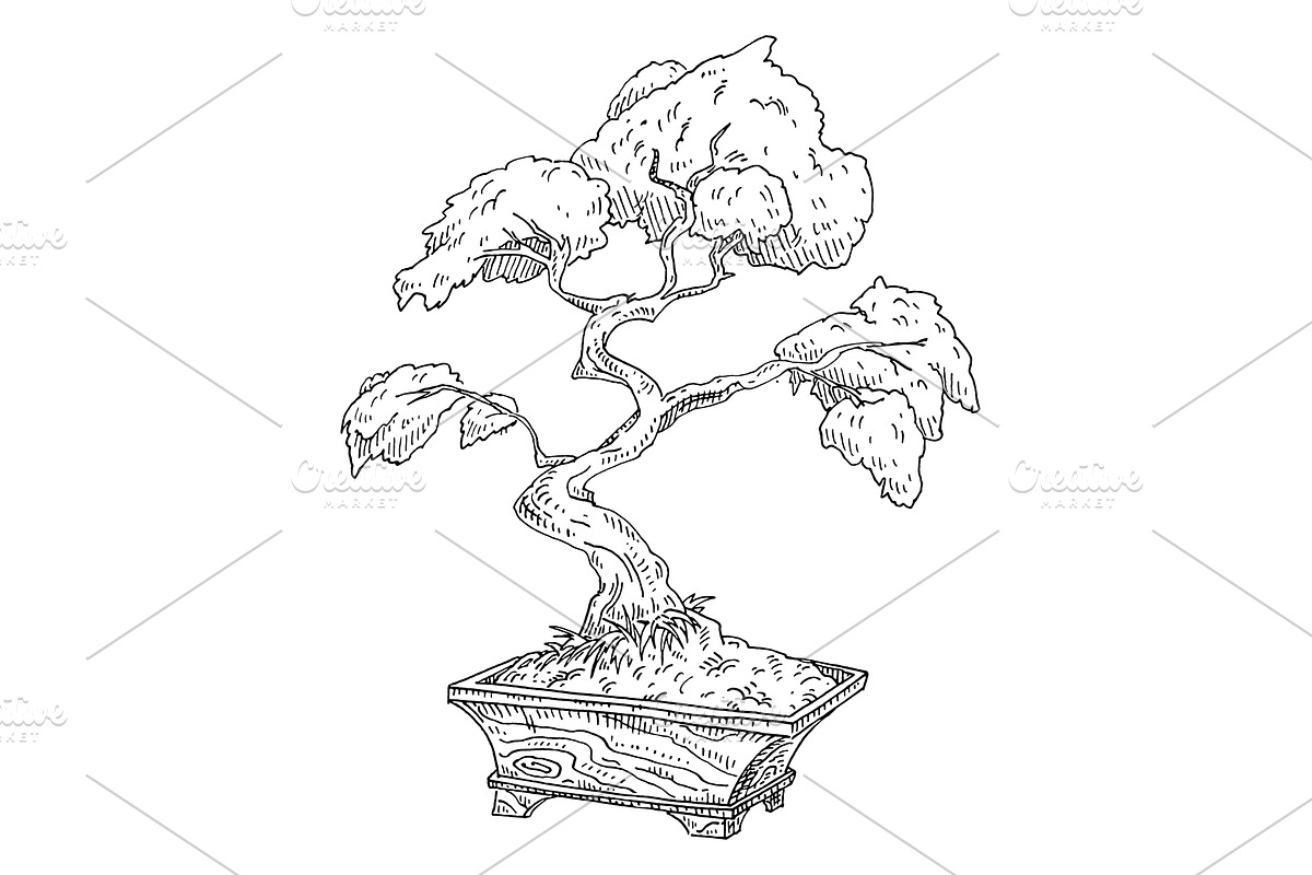 Bonsai tree in pot. Vintage black, an Object Illustration by MoreVector