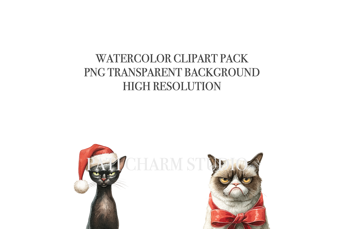 25 Christmas Cat Clipart, an Animal Illustration by Pati Charm Studio (Photo 5 of 8)