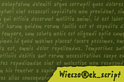 Wieczorek_script, a Script Font by BORUTTA (Thumbnail 2 of 5)