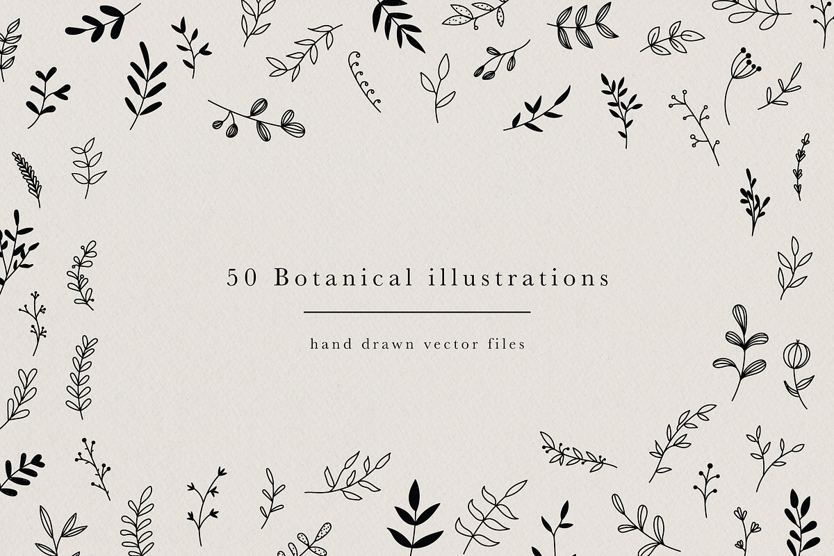 Botanical Hand Drawn Illustrations, a Decorative Illustration by Irene Florentina Design (Photo 1 of 5)