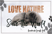 Ravishing Brush Font, a Script Font by Design Dukkan (Thumbnail 2 of 12)