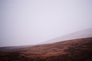 Foggy Hill