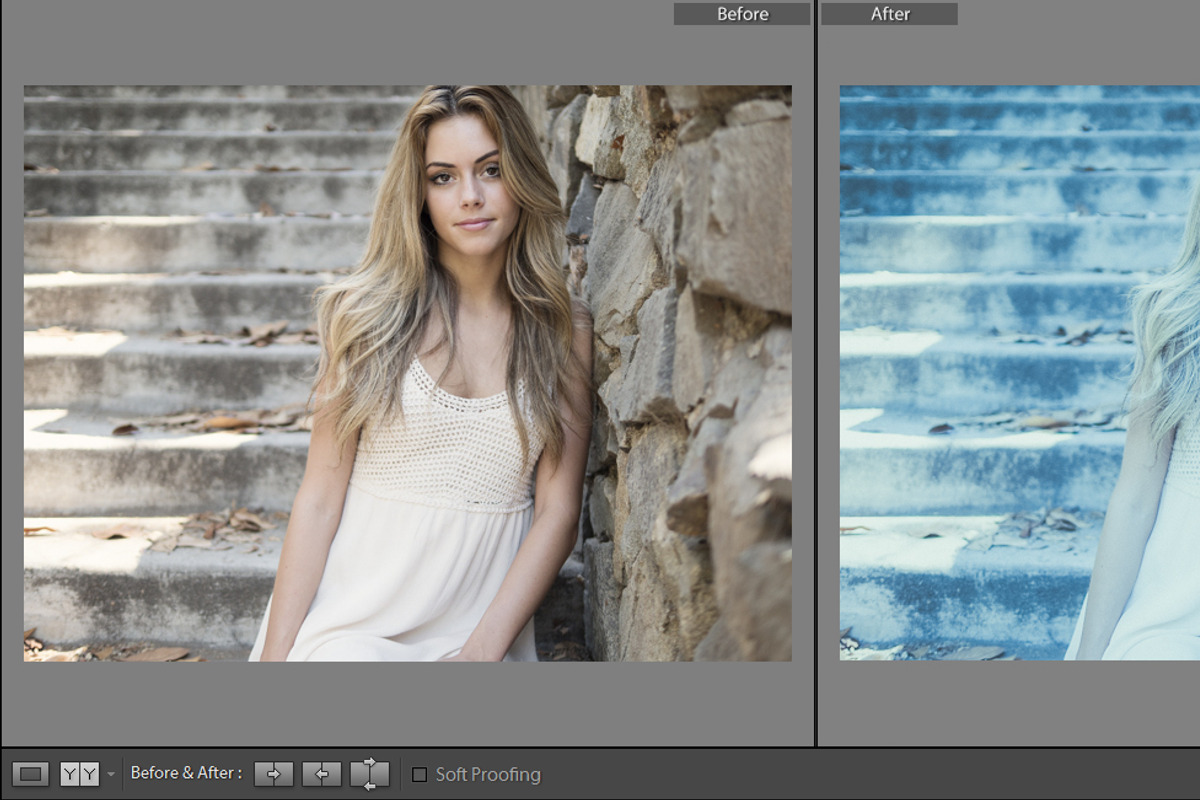 Cinematic Lightroom Preset By Cmsvec, a Plug-in Add-On by CMSvec (Photo 3 of 10)