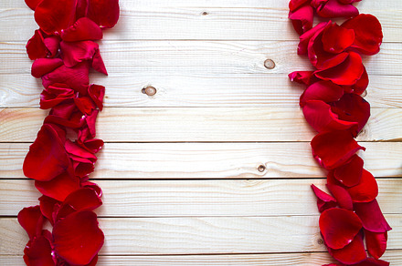 Rose petals stock photo containing rose and love, a Nature Photo by Alena Stoyko design