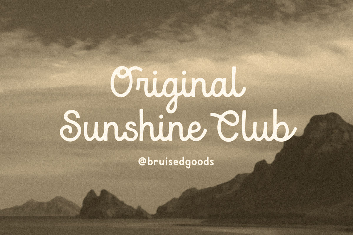 Baja California, a Script Font by Bruised Goods (Photo 3 of 4)