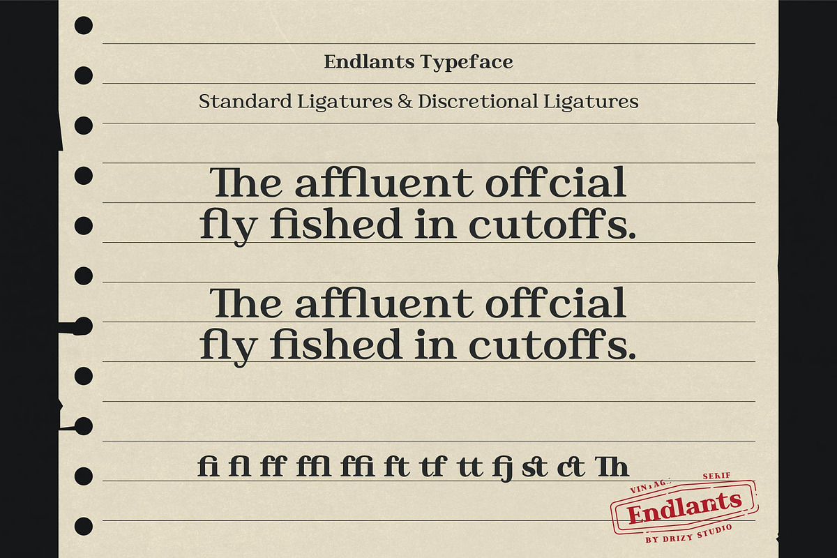 Endlants, a Serif Font by Drizy (Photo 6 of 9)