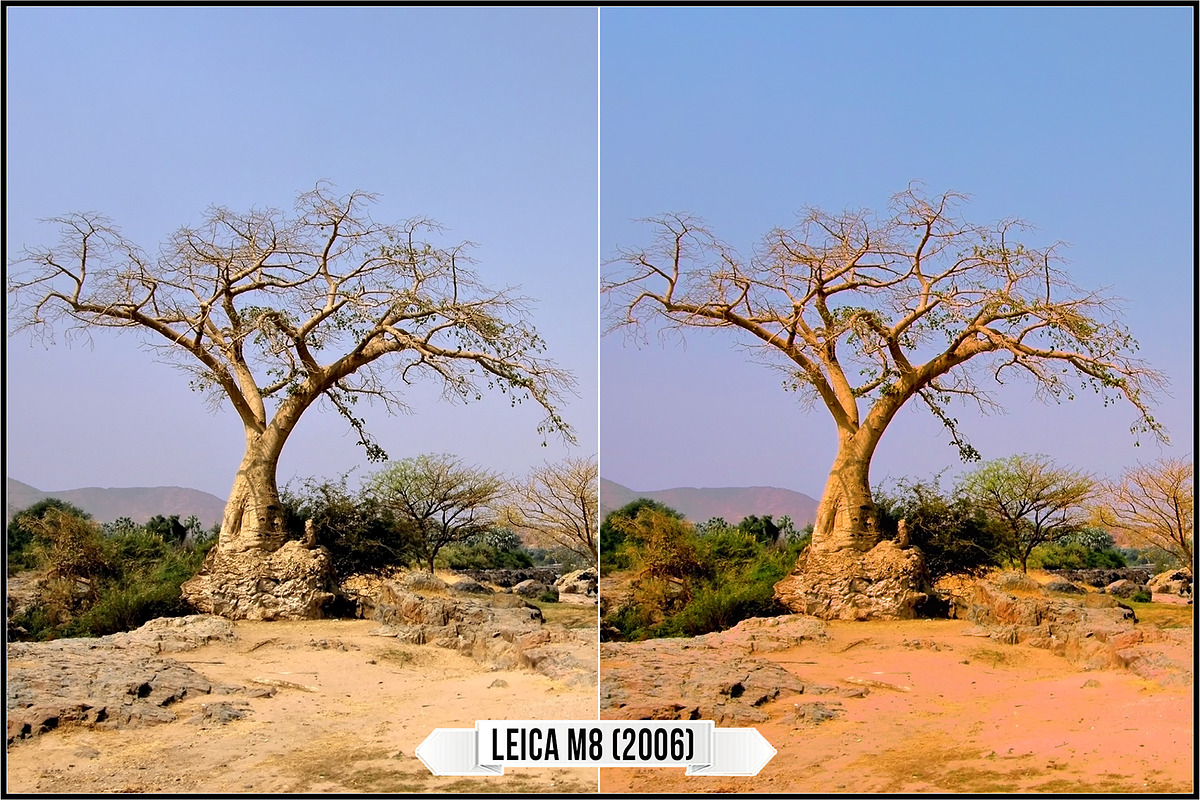 Leica Colors & Sensor Luminance, a Plug-in Add-On by Raztrend (Photo 3 of 29)