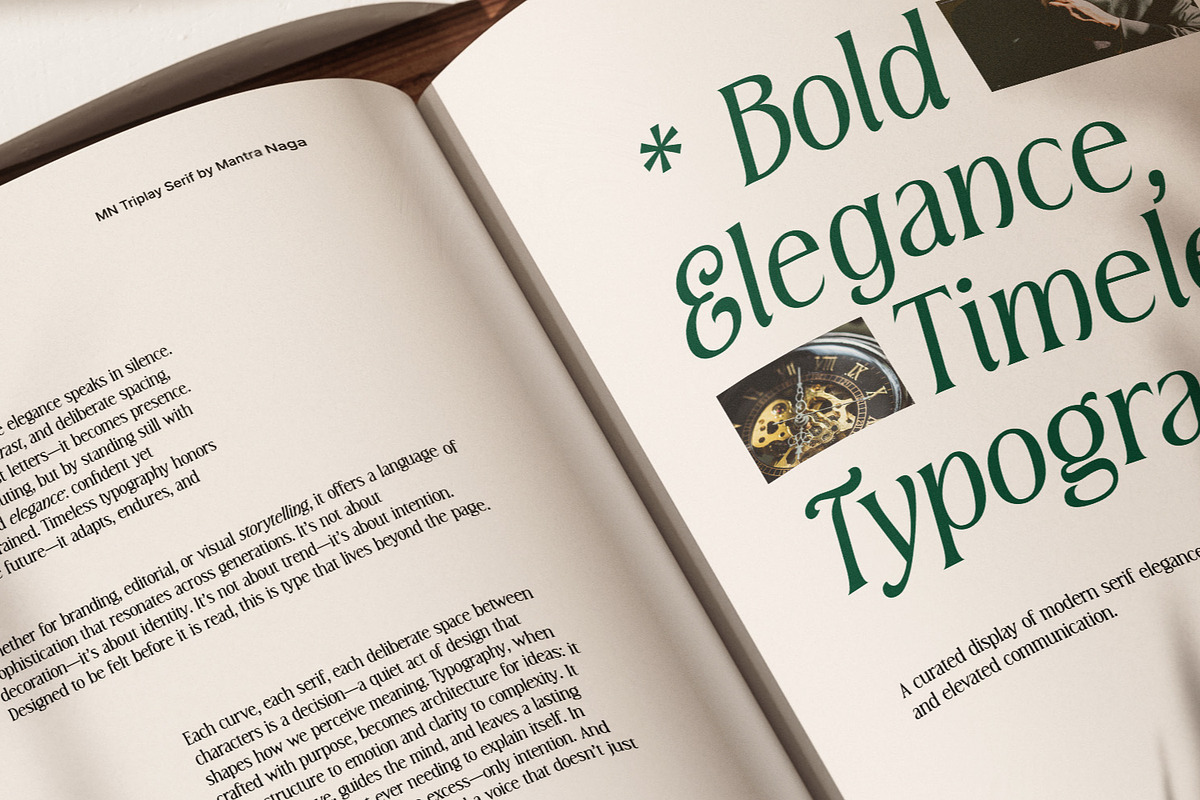 MN Triplay - Elegant Display Serif, a Serif Font by Mantra Naga (Photo 14 of 15)