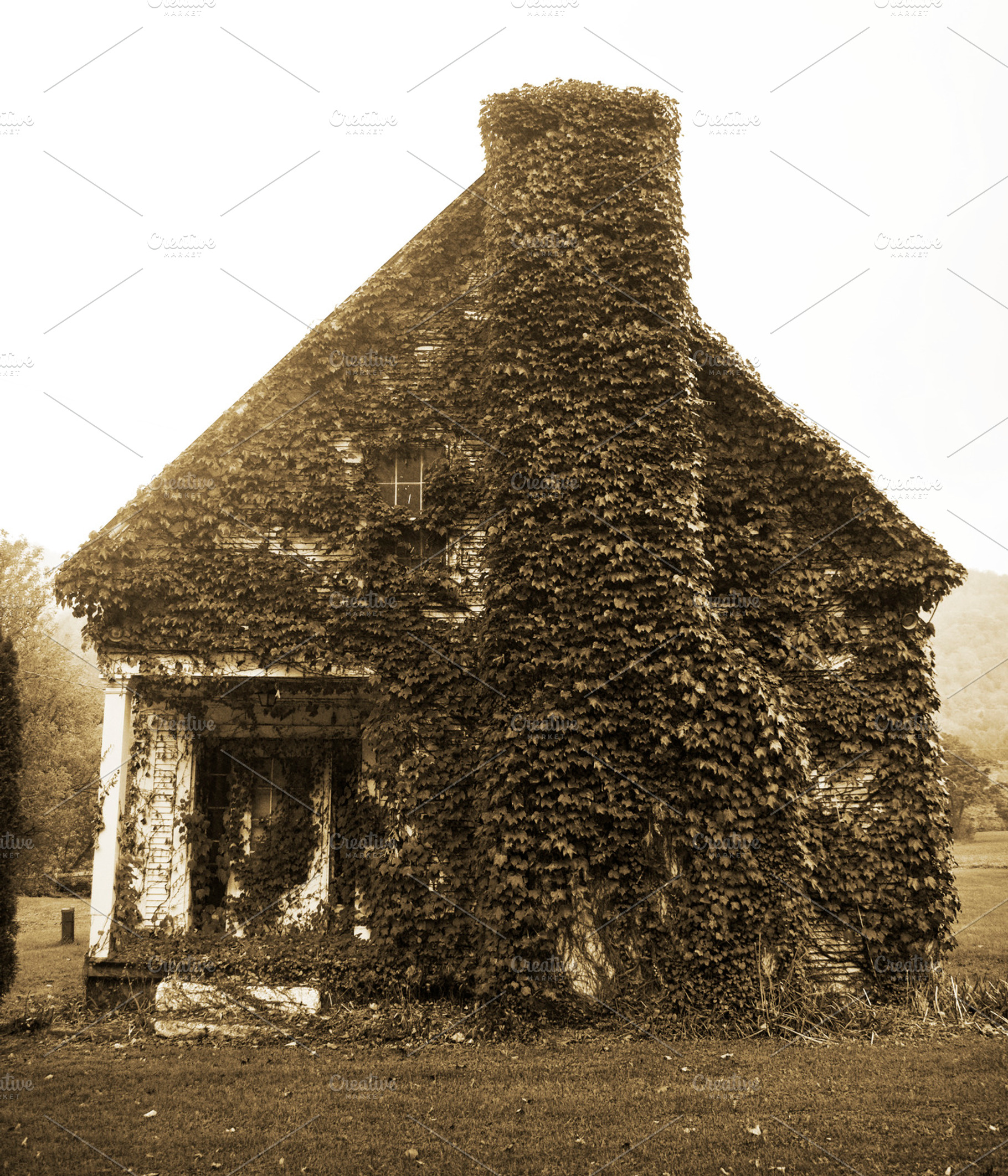 Living House Stock Photo Containing Old House And Leaves