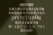 Restiv || Modern Classy Serif Font, a Serif Font by Ermedia Studio (Thumbnail 10 of 10)