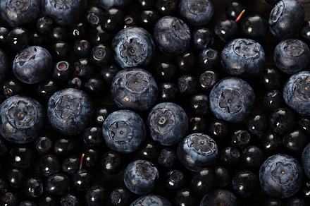 Dark blueberry closeup berry background stock photo containing background and preview 6