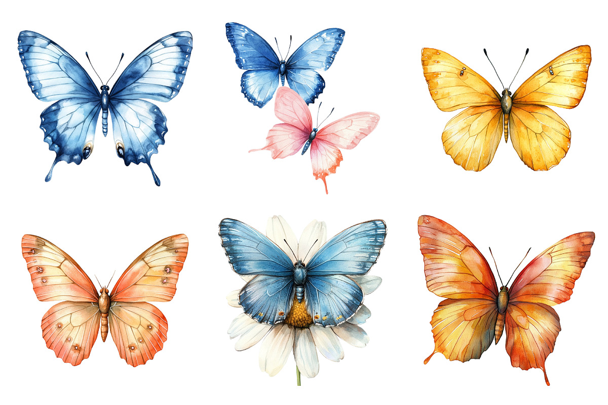 Watercolor Cute Butterfly Clipart, an Illustration by SinaCreation (Photo 4 of 5)