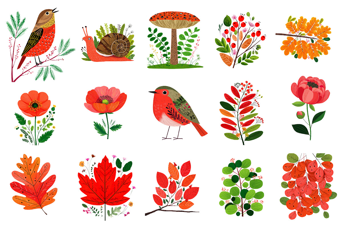 Fall Florals and Woodland Clipart, an Illustration by CreationArt (Photo 2 of 6)