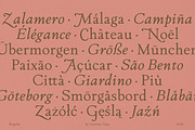 The Ashcombe Hall Oldstyle Serif, a Serif Font by CarmineType (Thumbnail 15 of 24)