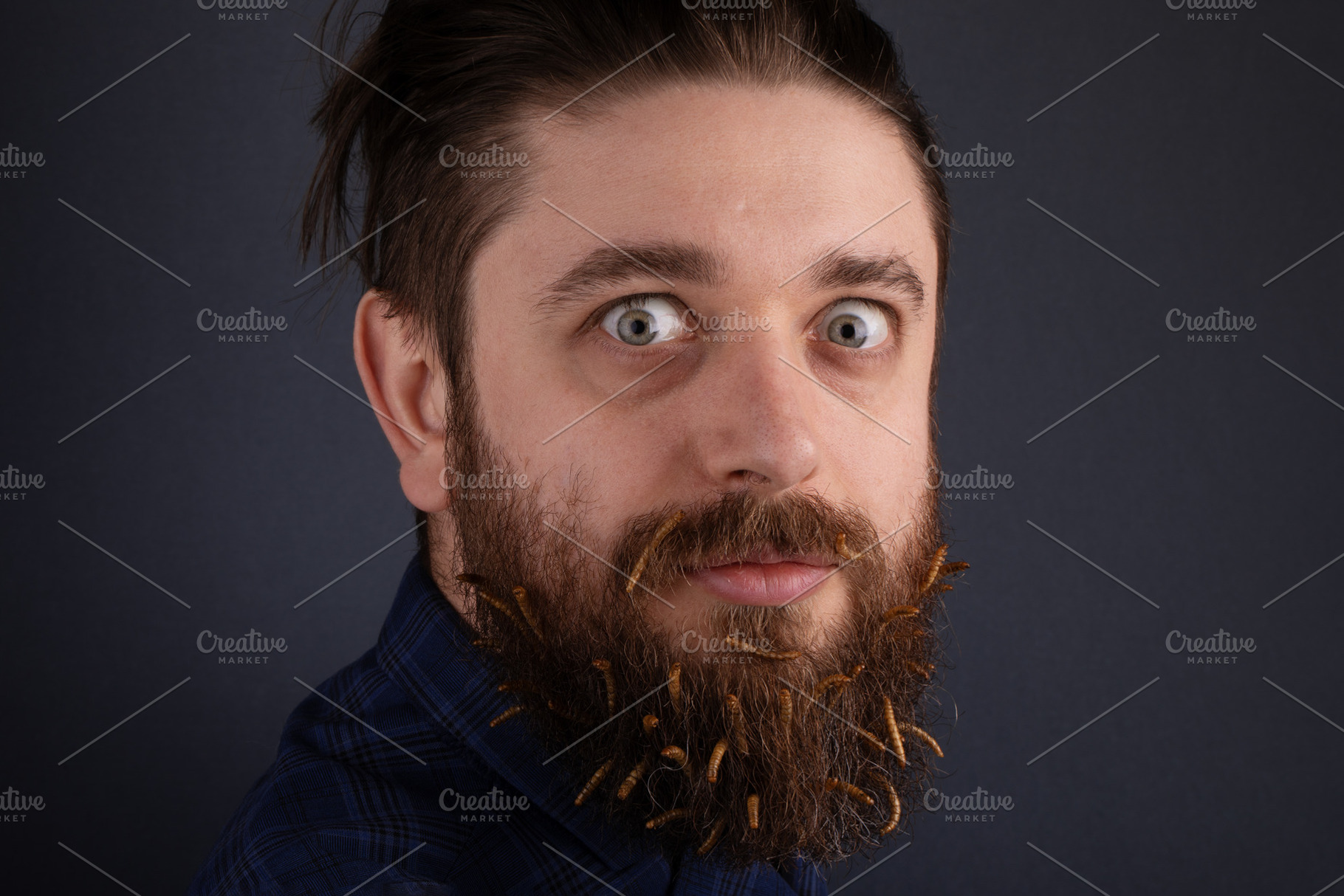 Portrait of a bearded man with insects in his beard against a da, a Person Photo by Ales Munt