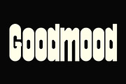 Dalston, a Serif Font by Rasgood (Thumbnail 3 of 6)
