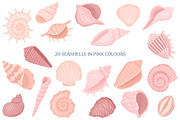 Seashells Collection, an Object Illustration by yarynabo (Thumbnail 2 of 14)