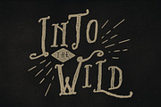 Wilder Family & Handdrawn Kit, a Font by Swistblnk Std. (Thumbnail 3 of 4)