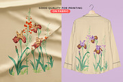 Irises Flower Set, an Object Illustration by Volga_Store (Thumbnail 4 of 6)