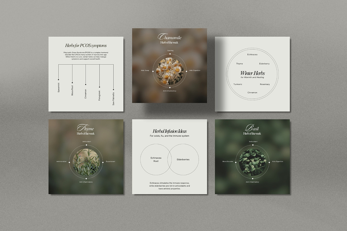 Herbal Medicine Instagram Templates, a Social Media Template by Terraa Studio Design (Photo 7 of 10)