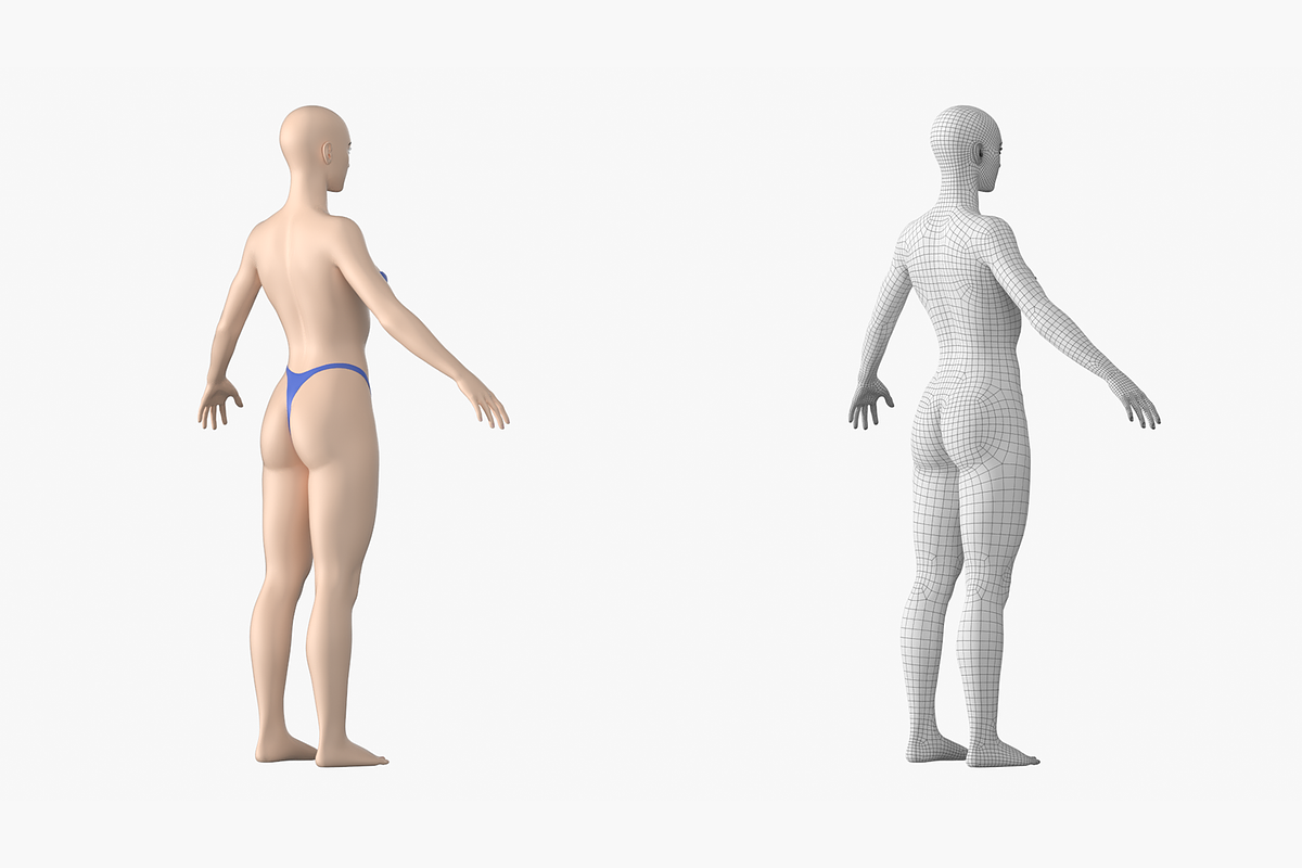 Natural Female 01 A-Pose Base Mesh, a Characters & Person 3D Model by VK Studio (Photo 6 of 26)