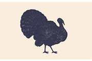 Turkey. Vintage retro print | Animal Illustrations ~ Creative Market