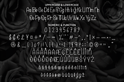Black Rose | Script Font, a Script Font by Scratchones (Thumbnail 7 of 8)