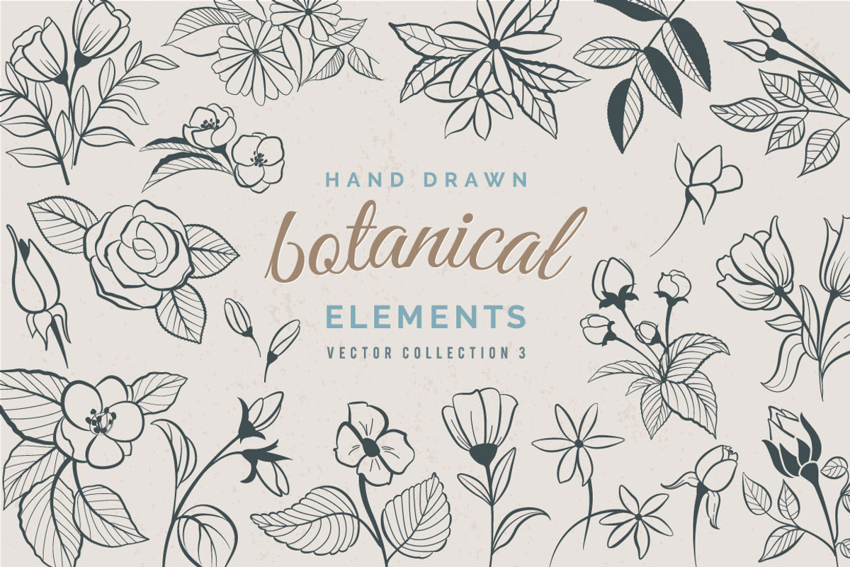 Hand Drawn Botanical Elements, a Decorative Illustration by Solana (Photo 1 of 3)