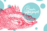Fish, an Animal Illustration by Vera Holera (Thumbnail 2 of 7)