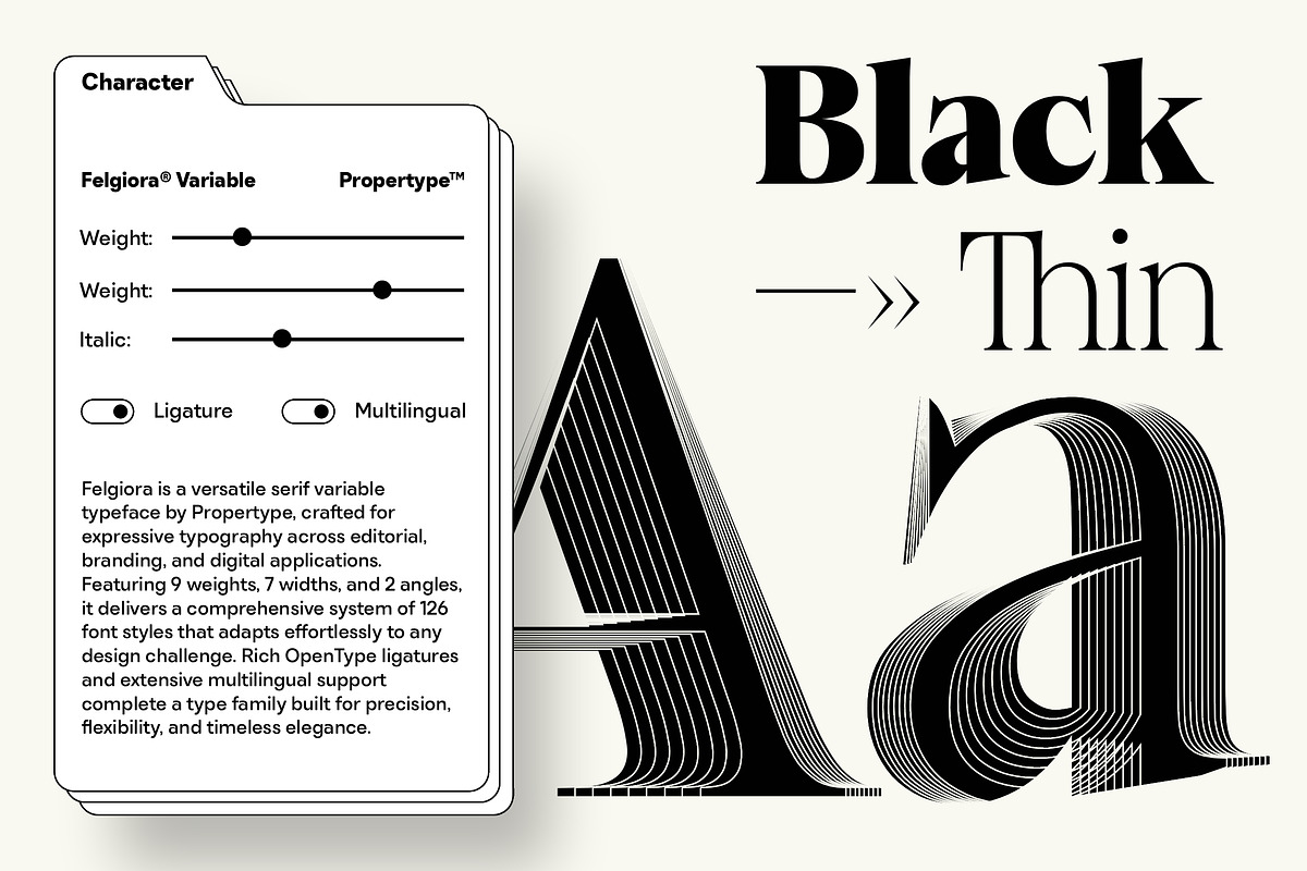 Felgiora, a Serif Font by Propertype (Photo 4 of 16)