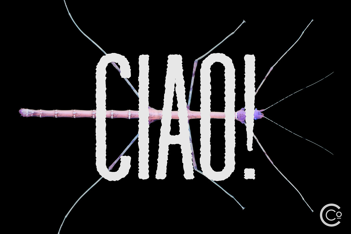 Gabe Sans - Tall Gothic Font Family, a Sans Serif Font by Cribb Co. (Photo 11 of 14)